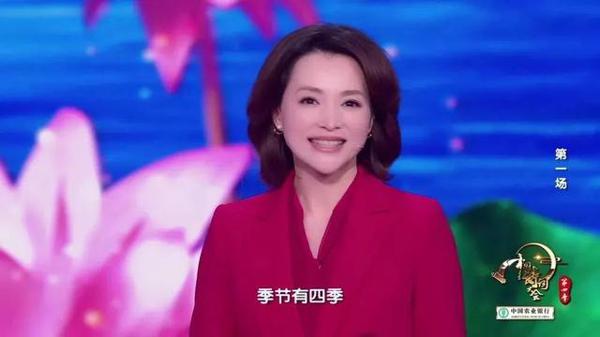 值得一读!《中国诗词大会》董卿教科书式唯美开场词,堪称作文范本|新春精选