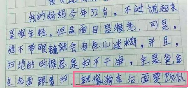 小学生作文只写了“8个字”,老师建议“另谋高就”,有才! 7