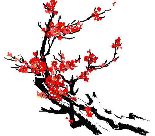 “花中君子”――梅花_600字