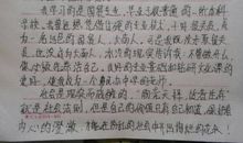 老师给我的爱作文素材