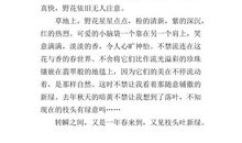 又见枝头吐新绿 写事的作文700字