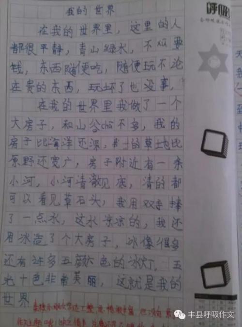航模达人-我的舅舅作文450字