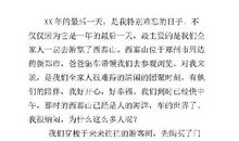 游西泰山-暑假游记作文550字