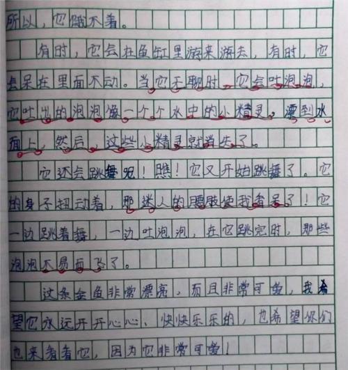 小金鱼-写物的作文500字