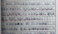 小金鱼-写物的作文500字