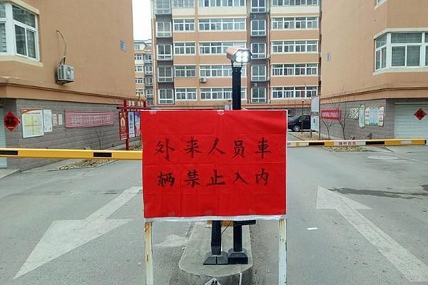 小学生作文,遇到冠状病毒的年,变成了众志成城的团结年 1