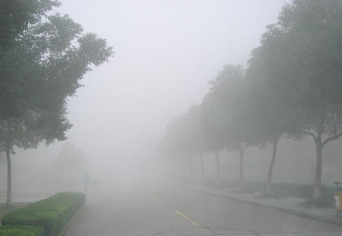 关于雾的作文：晨雾_500字