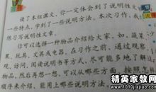 清明上坟 小学写事作文550字