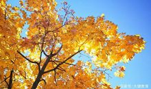 小学生作文：短暂的友谊