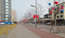 小学生作文，遇到冠状病毒的年，变成了众志成城的团结年