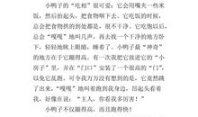 可爱的小鸭子-小学状物作文350字