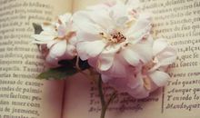 想要作文锦上添花却无从下手？这6种引用方法帮你实现！