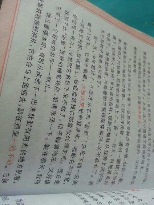 碎暖-初中写事作文600字