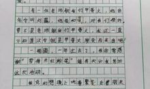 我的好朋友刘露 小学写人作文700字