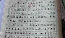 藏在我身边的爱作文500字左右