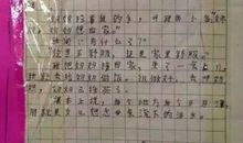 高三日记：游玩千岛湖_800字