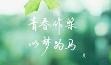 2009年高考浙江卷满分作文：绿叶・情意_800字