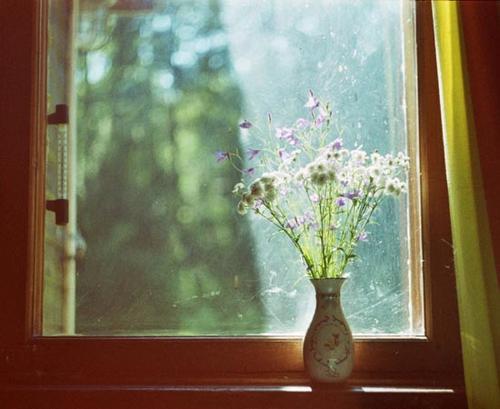 穿过那一扇“窗”-《窗后的少年》读后感900字