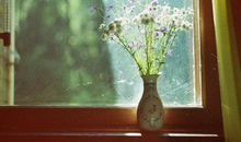 穿过那一扇“窗”-《窗后的少年》读后感900字