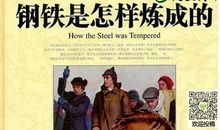 做生活的勇者 读《钢铁是怎样炼成的》有感1000字