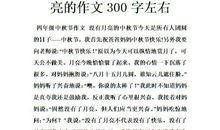 中秋节 四年级中秋节作文300字