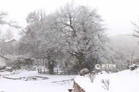 春雪飘飘 美丽的雪景作文700字