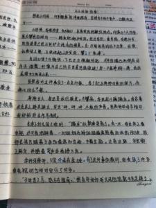 初一状物作文：夏_600字