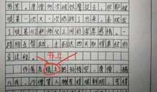 六年级写作品梗概作文500字