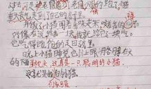 我们一家 初中生我们一家人作文500字