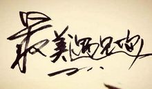 遇见-最美的遇见作文700字