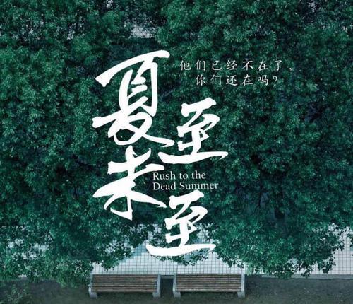 夏至花落知多少 读《夏至未至》有感900字