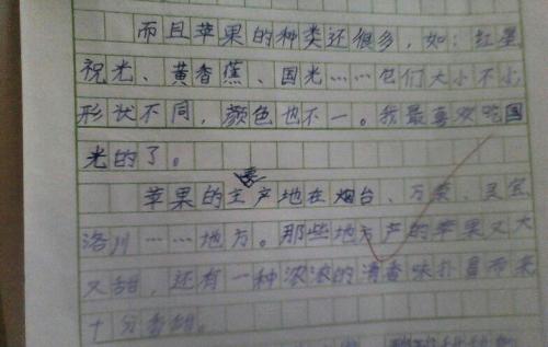 高一叙事散文：温暖2_400字