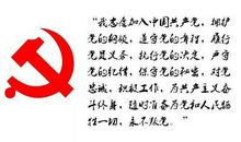 最崇高的敬意 缅怀革命烈士有感700字作文