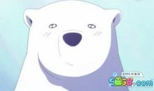 我喜欢的白熊 初三作文