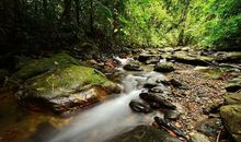 初中生优秀写景作文：哦，小溪