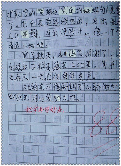 如何做一名好学生 做一个优秀的初中生作文600字