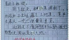 如何做一名好学生 做一个优秀的初中生作文600字