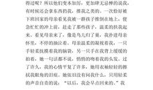 我的妈妈 高一作文1200字