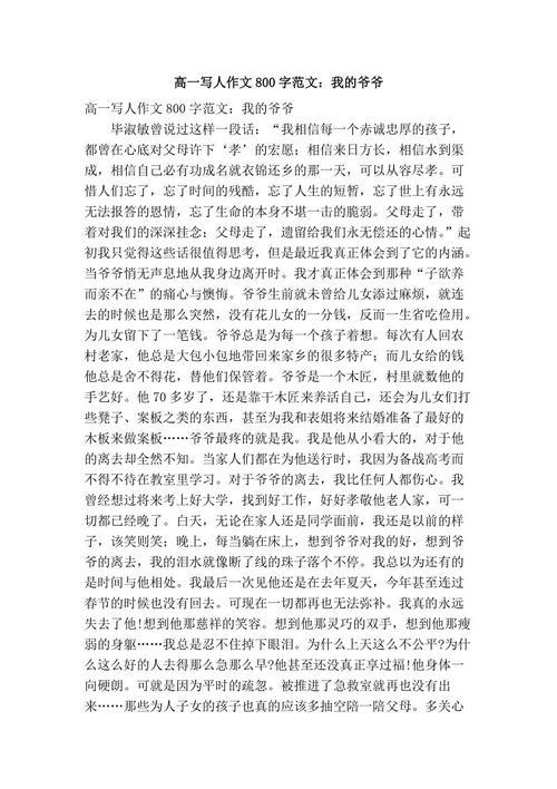 想起了爷爷 高一我的爷爷作文900字