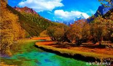 写景作文：秋天之旅