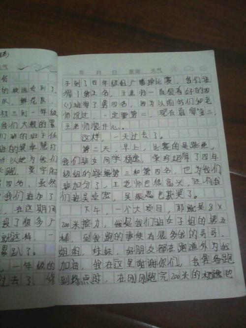 那次运动会 高中生运动会作文800字