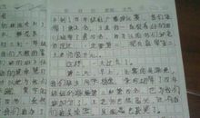 那次运动会 高中生运动会作文800字