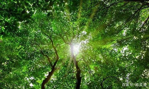重点中学初一优秀作文《原来,“得”并不遥远》 3