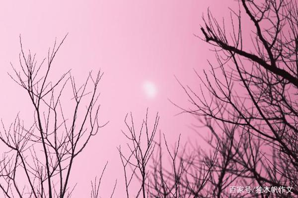 初一作文：什么越来越好