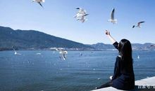 作文没东西写？反思一下自己文章立刻不一样！