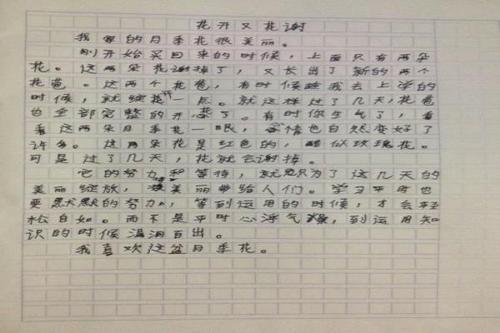 茶楼边的河写景作文