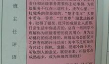 中小学班主任评语