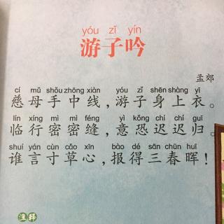初三续写改写作文：游子吟_800字