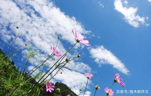 初三作文：碎碎的光阴