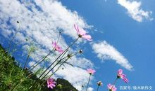 初三作文：碎碎的光阴